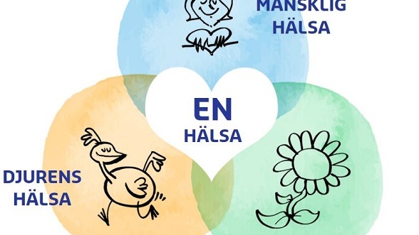 Fokus på hållbar mat - lär & inspireras av helt nya miniutbildningar