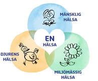 Fokus på hållbar mat - lär & inspireras av helt nya miniutbildningar