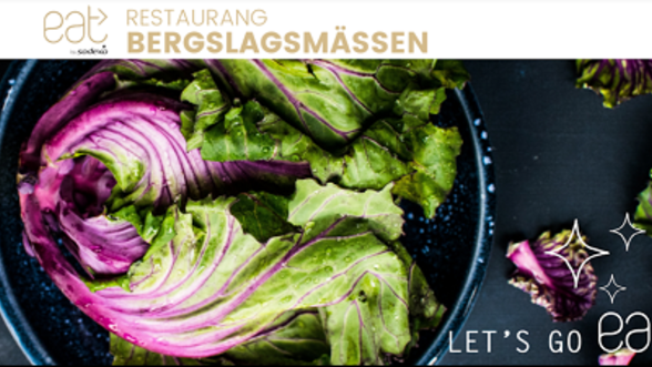 Full fart igen på Bergslagsmässen i Falun